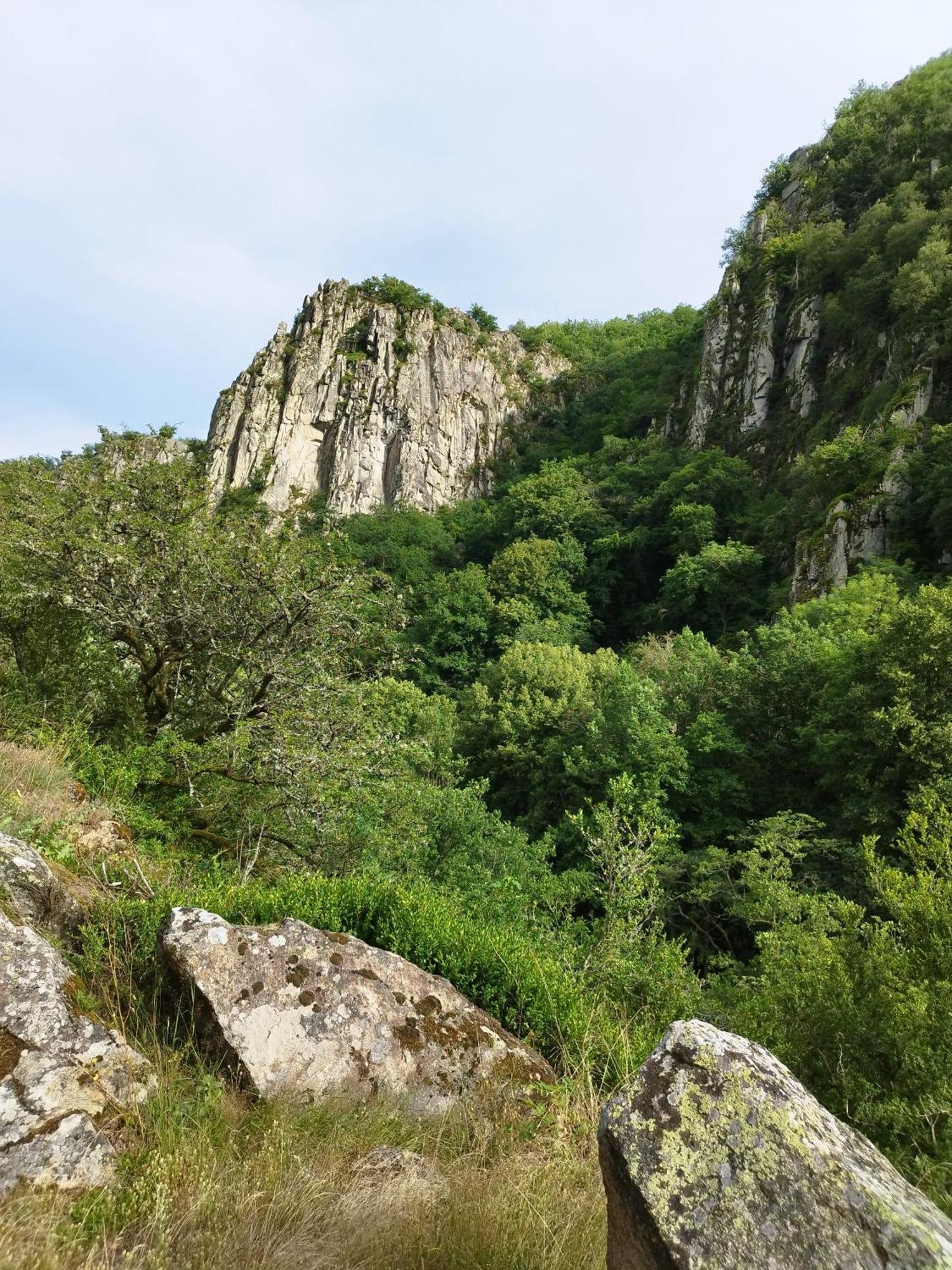 La Grenouille Amoureuse Menat Kültér fotó